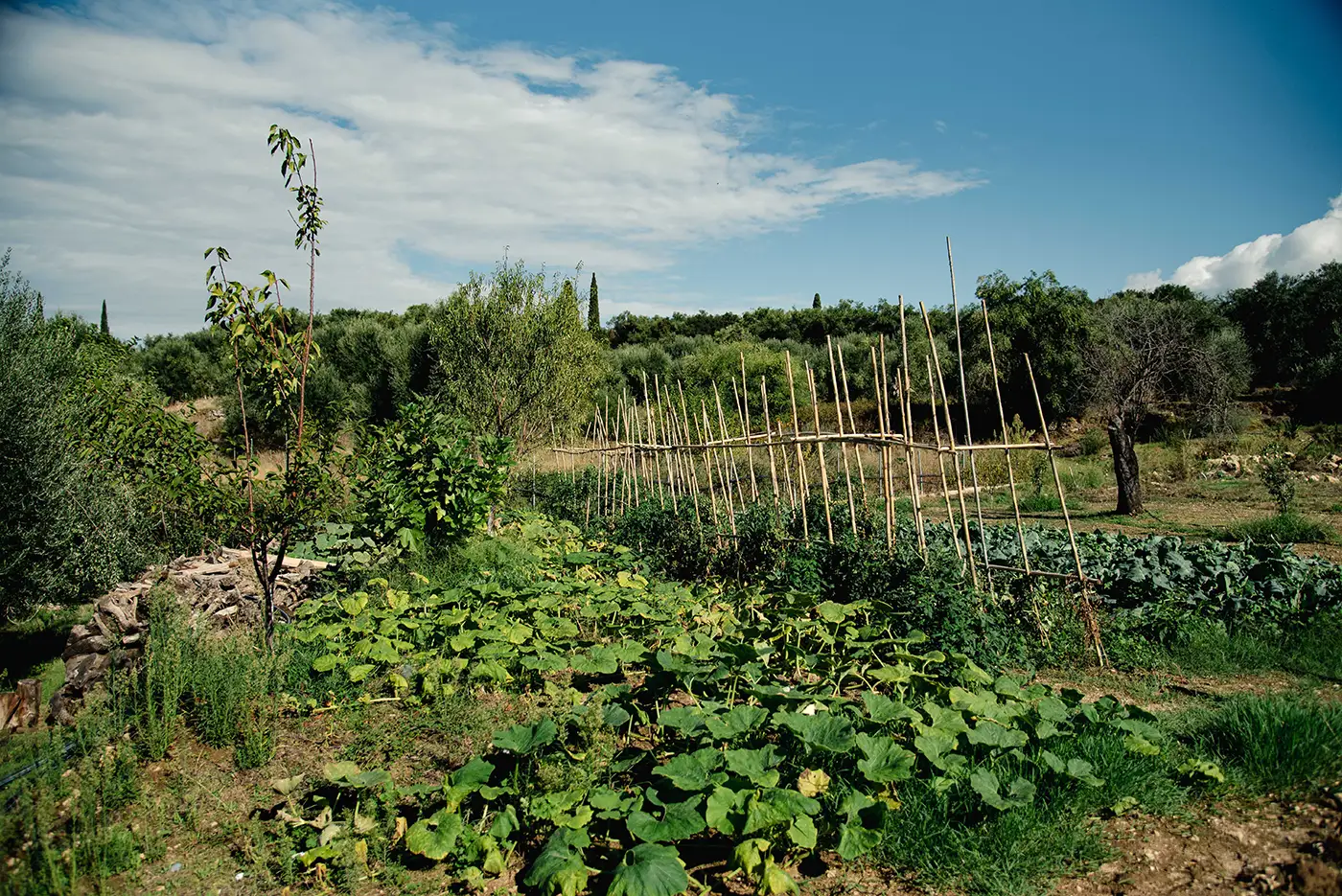 kukutseli home corfu garden4